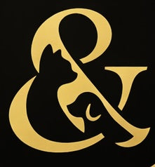 Home page